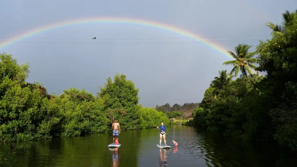 Kids Surf Lesson